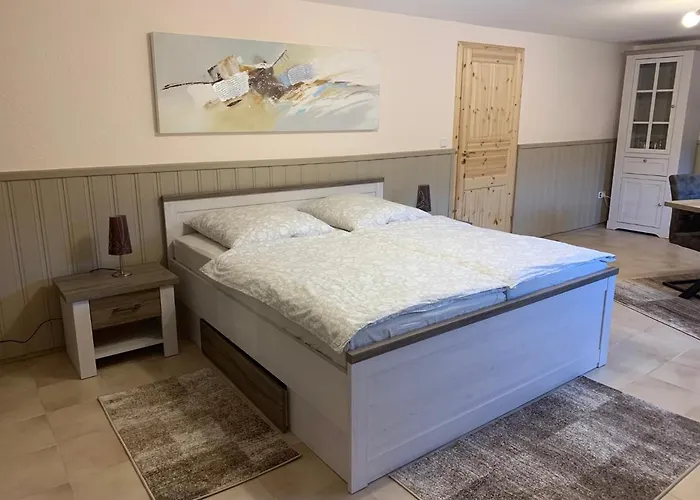 Проживание в семье Guhl Мунстер